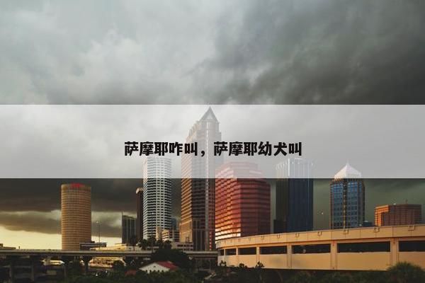 萨摩耶咋叫，萨摩耶幼犬叫